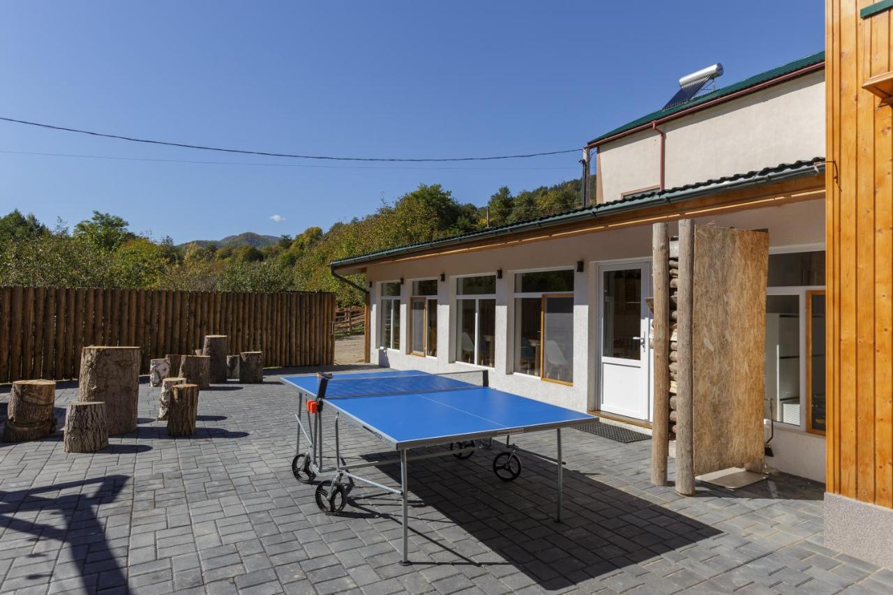 Buturuga Mica Villa Nehoiu Luaran gambar